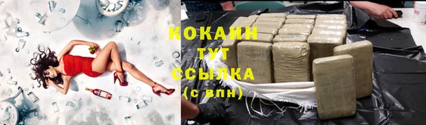 шишки Михайлов