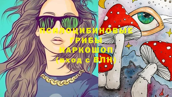 шишки Михайлов