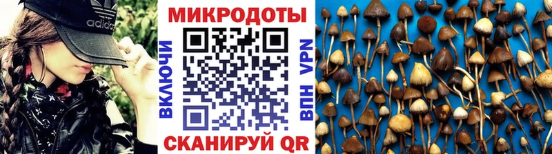 Псилоцибиновые грибы GOLDEN TEACHER  Палласовка 
